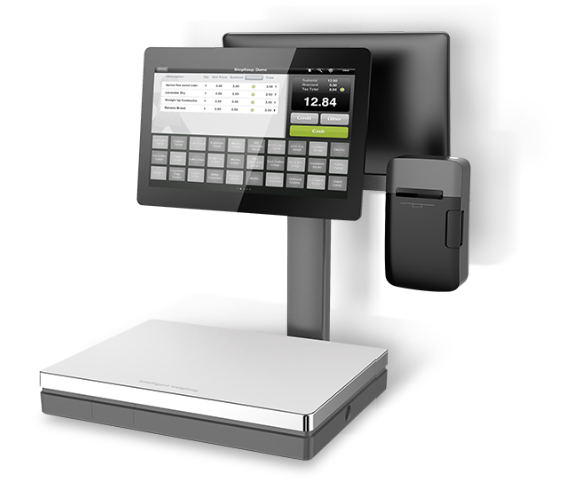 hanin CR1 all in one pos scale