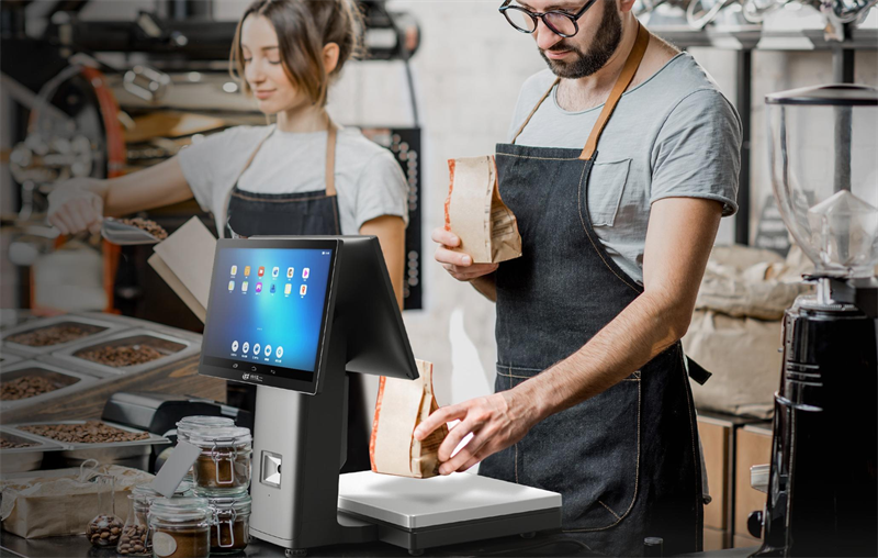 hanin ai pos scale