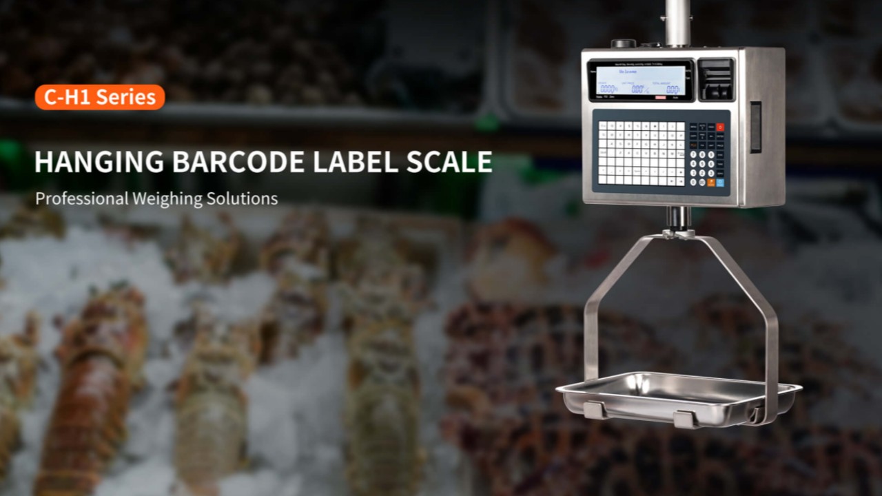 What Is a Hanging Label Printing Scale? Features & Buying Guide for Seafood, Meat & Wet Markets