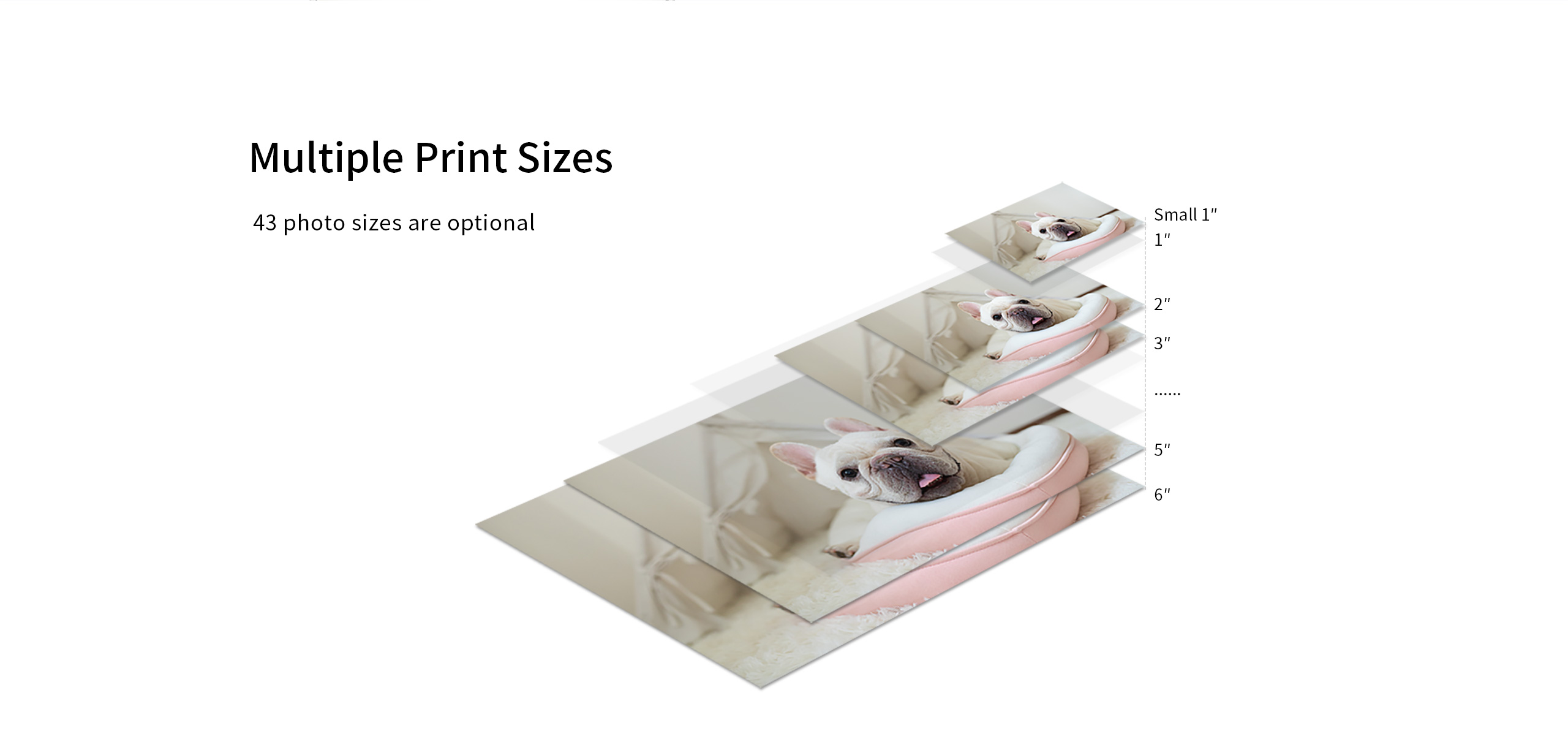 multiple print sizes photo printer CP4000L