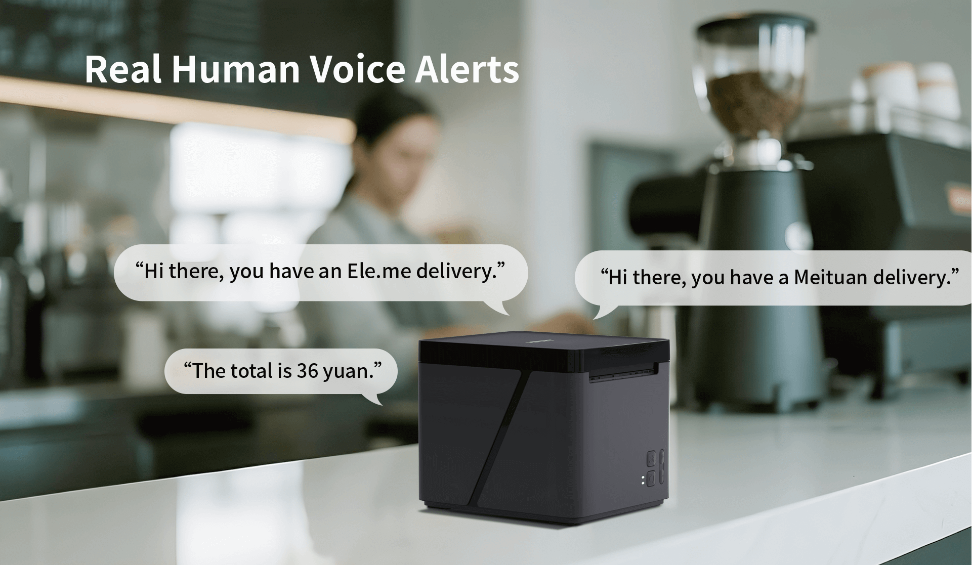 Thermal Cloud Receipt Printer Real Human Voice Alerts TP80NY